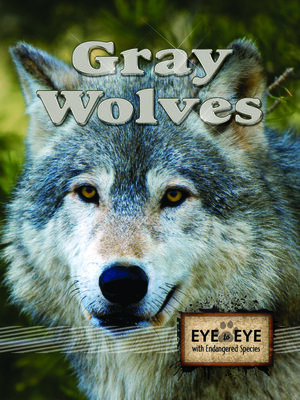 cover image of Gray Wolves